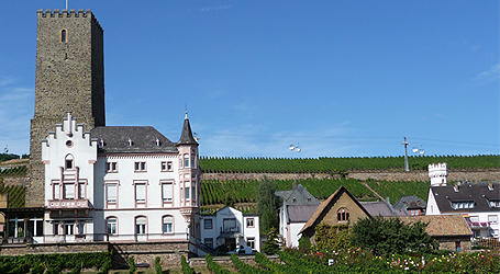 Ausflug Bingen